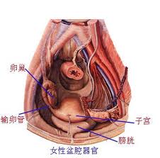 盆腔炎有哪些危害？